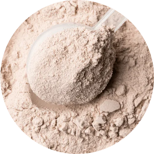 Premium Whey Protein